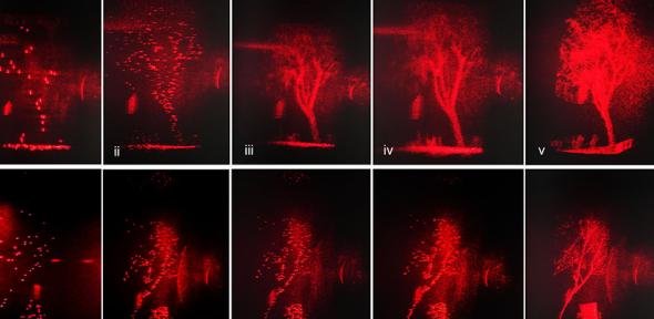 Holographic replay field results of 3D LiDAR processed data sets. LiDAR truck and tree objects are displayed.